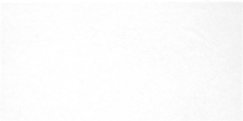 TWU09MNR020 плитка облицовочная Monocolor 249*500*7,5 (12 шт в уп)