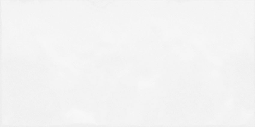 TWU09MNR030 плитка облицовочная рельефная Monocolor 249*500 за 1м2 (11 шт в уп)